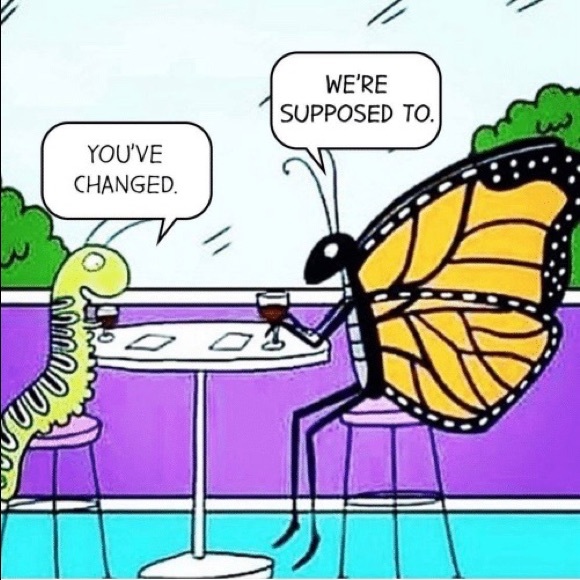 ✨🦋 Rosegold tone butterfly ring🦋✨ - Picture 3 of 6